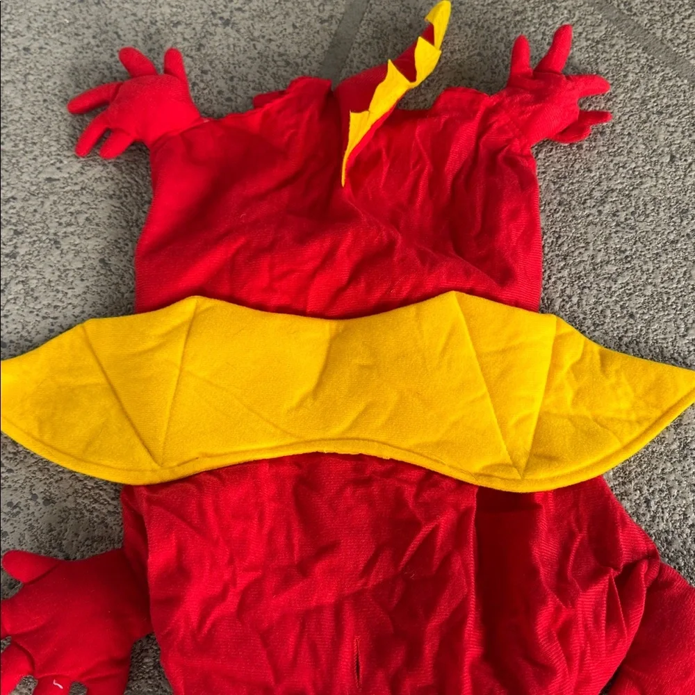 Zack & Zoey red yellow Chinese dragon dog costume size large